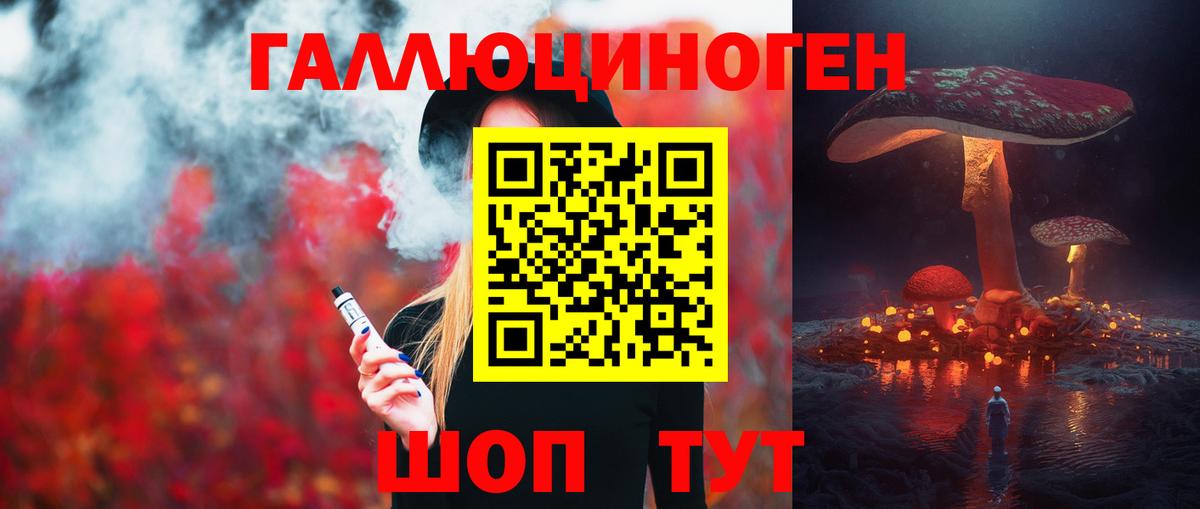 Псилоцибиновые грибы мицелий Казань